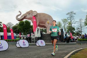 BIB: 
                            <button type="button" onclick="openModal(26528955)" class="btn btn-primary btn-sm float-right btn-popup" data-toggle="modal" data-target=".modal-high-quality">
                        <i class="fas fa-shopping-cart"></i> Add to Cart
                    </button>
                                            <button type="button" onclick="isThisMe(26528955, true)" class="btn btn-success btn-sm float-right btn-popup btn-isme hidden" data-toggle="tooltip" data-placement="bottom" title="นี่คือรูปของคุณใช่ไหม คลิกที่นี่เพื่อเอาเข้าอัลบั้ม">
                        <i class="fas fa-plus"></i> Add to album
                    </button>
                    <button type="button" onclick="isThisMe(26528955, false)" class="btn btn-warning btn-sm float-right btn-popup btn-isnotme hidden">
                        <i class="fas fa-ban"></i> Remove from album
                    </button>